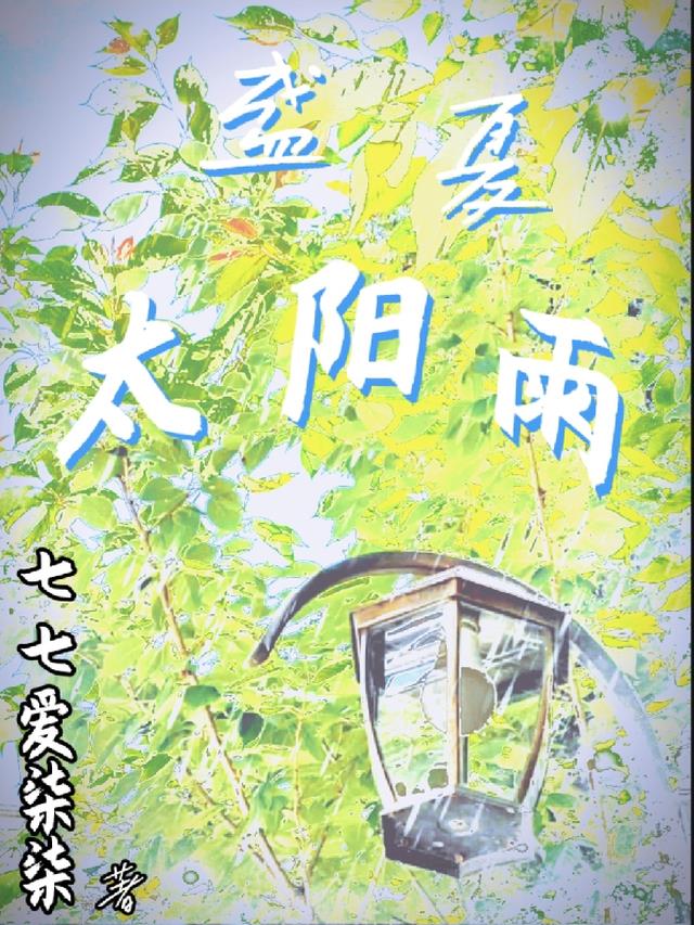 盛夏太阳伞小说免费阅读